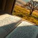 how a journal entry changed my outlook