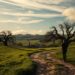 why I stopped hiding who I was